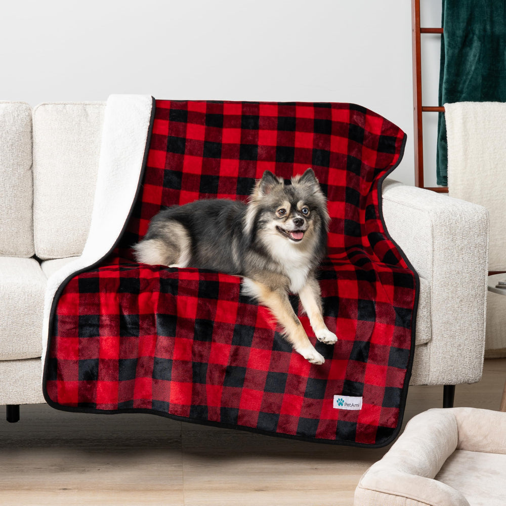 Apto para perros medianos y grandes, diseño duradero de PetAmi.
