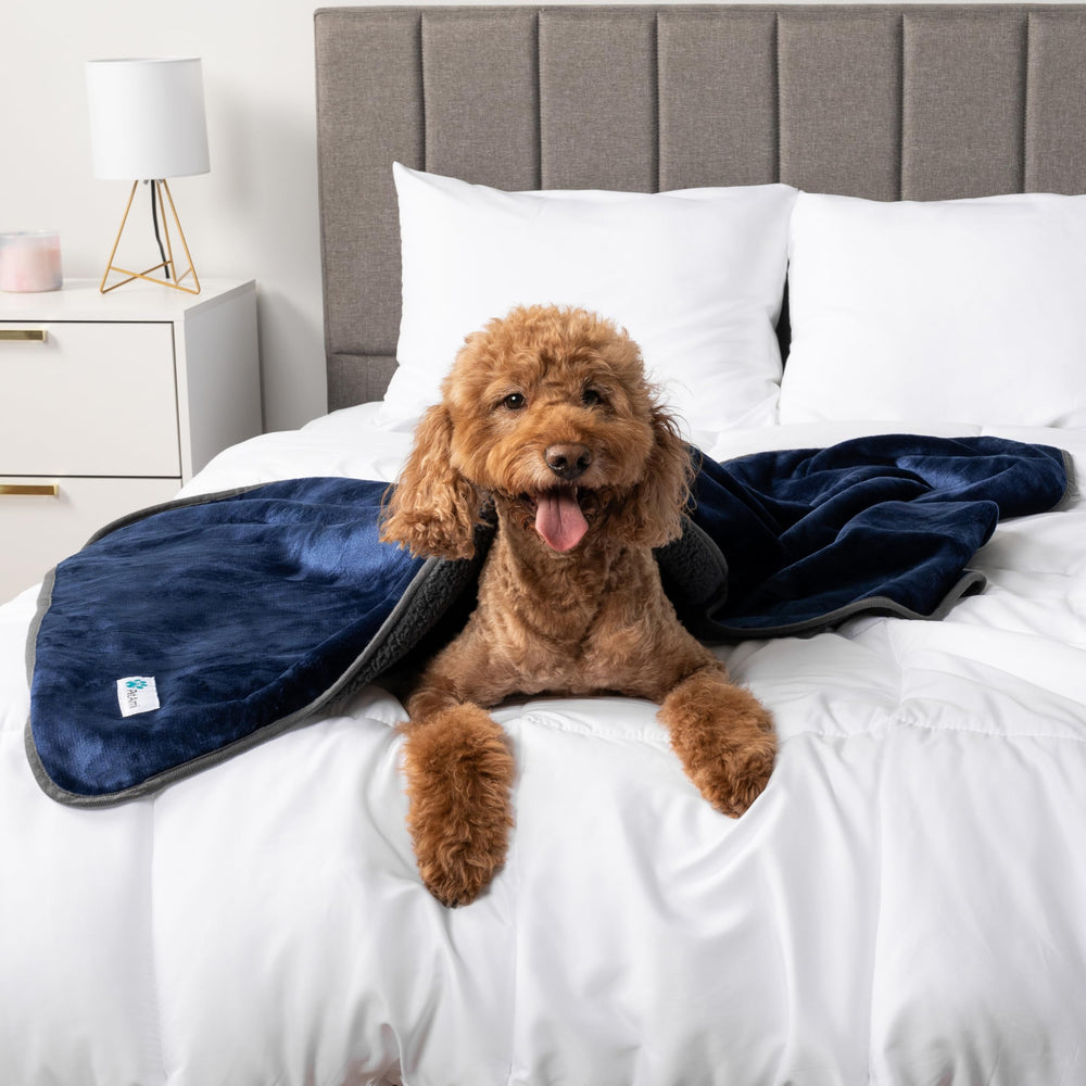 PetAmi manta para gatos y perros mantiene áreas limpias