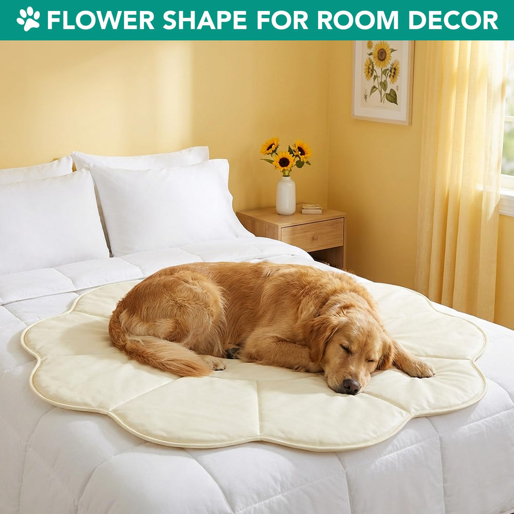 PetAmi Alfombra 54x54 para perros grandes, beige y espaciosa