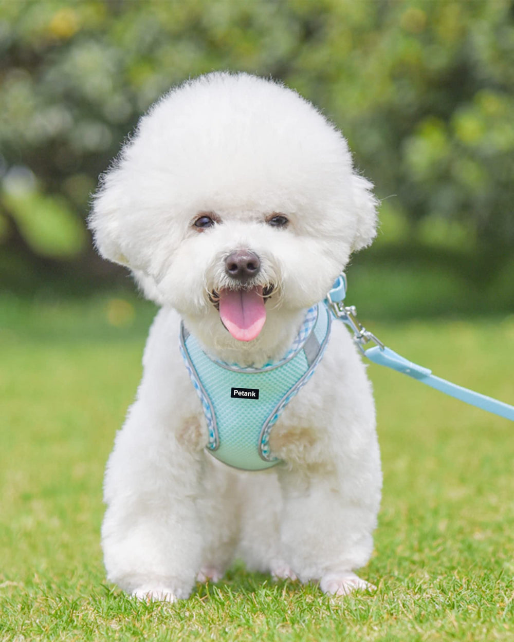 Arnés Petank para perro mediano en azul claro, malla jacquard transpirable.