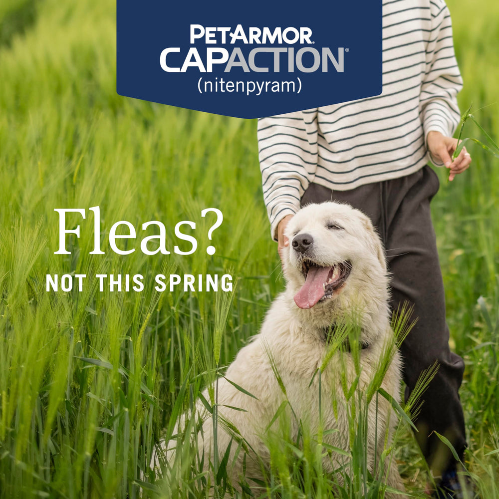 PetArmor CapAction envase de 6 dosis facilita tratamiento continuo para pulgas.