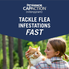 CAPACTION, opción de tratamiento para gatos en crianza.