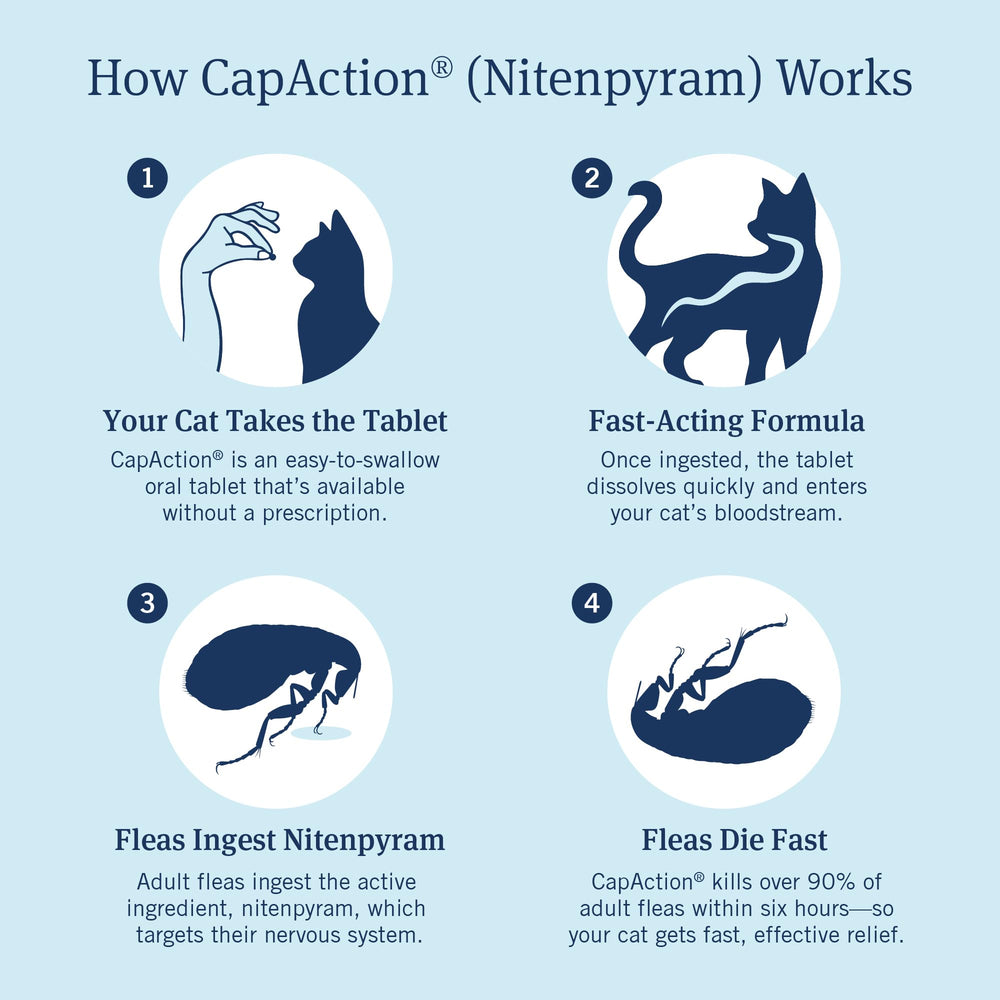 PetArmor CAPACTION, adecuado para gatos embarazados cuando se indica.