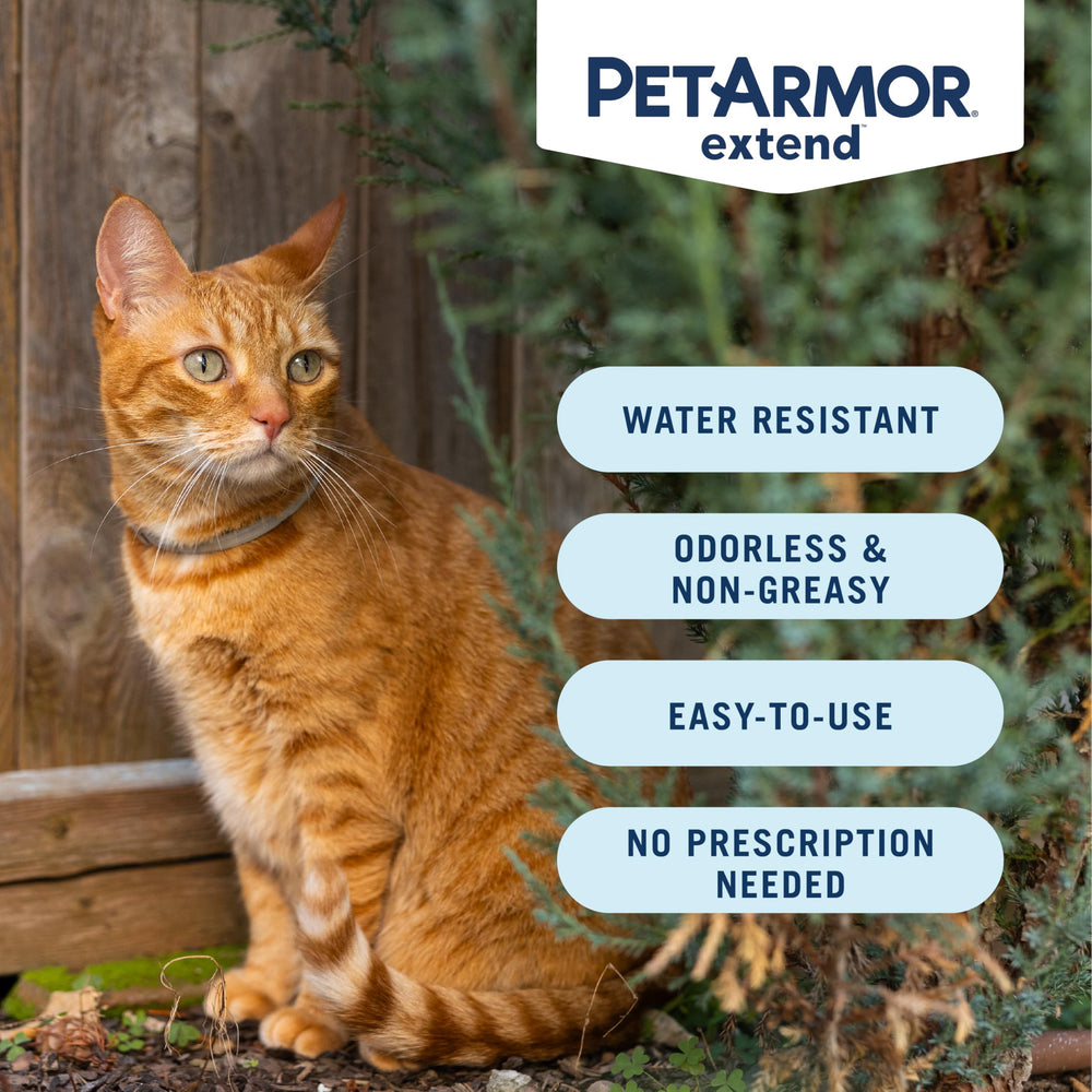 PetArmor Extend collar, resistente al agua para gatos activos.