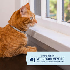 PetArmor Extend Collar, cierre visible para uso diario y discreto.