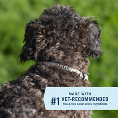 Ajuste seguro del collar PetArmor Extend en perro pequeño.
