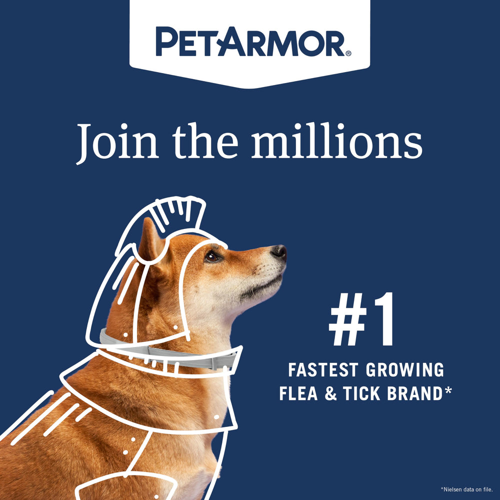 PetArmor Extend con ingredientes activos comparables a Seresto a menor costo.