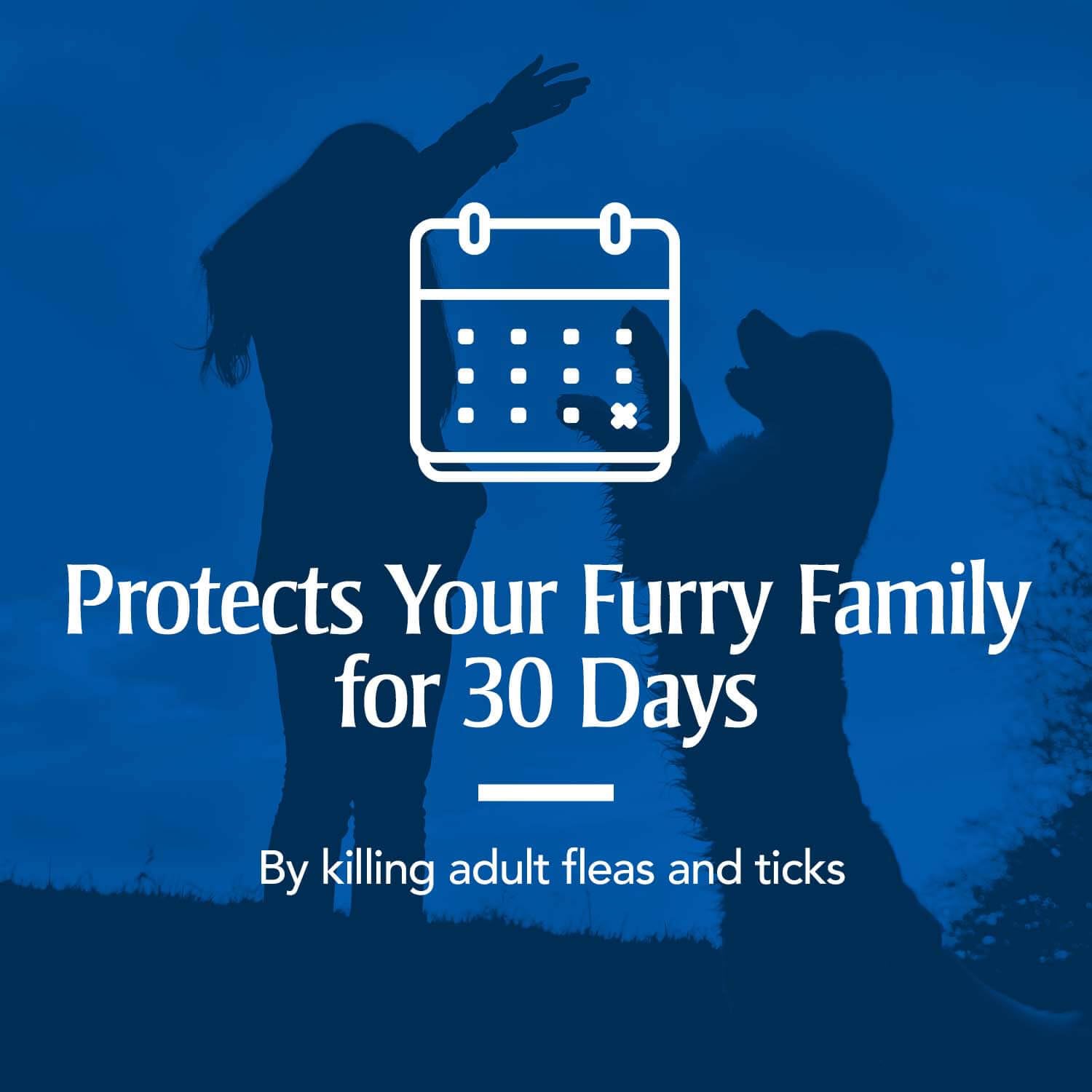PETARMOR para gatos: protección de 30 días contra pulgas y garrapatas.