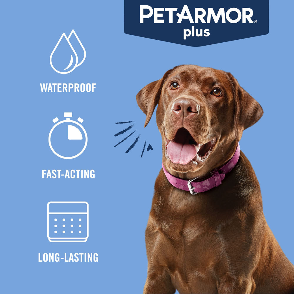 PetArmor Plus: acción rápida en 24 horas para comenzar a proteger.