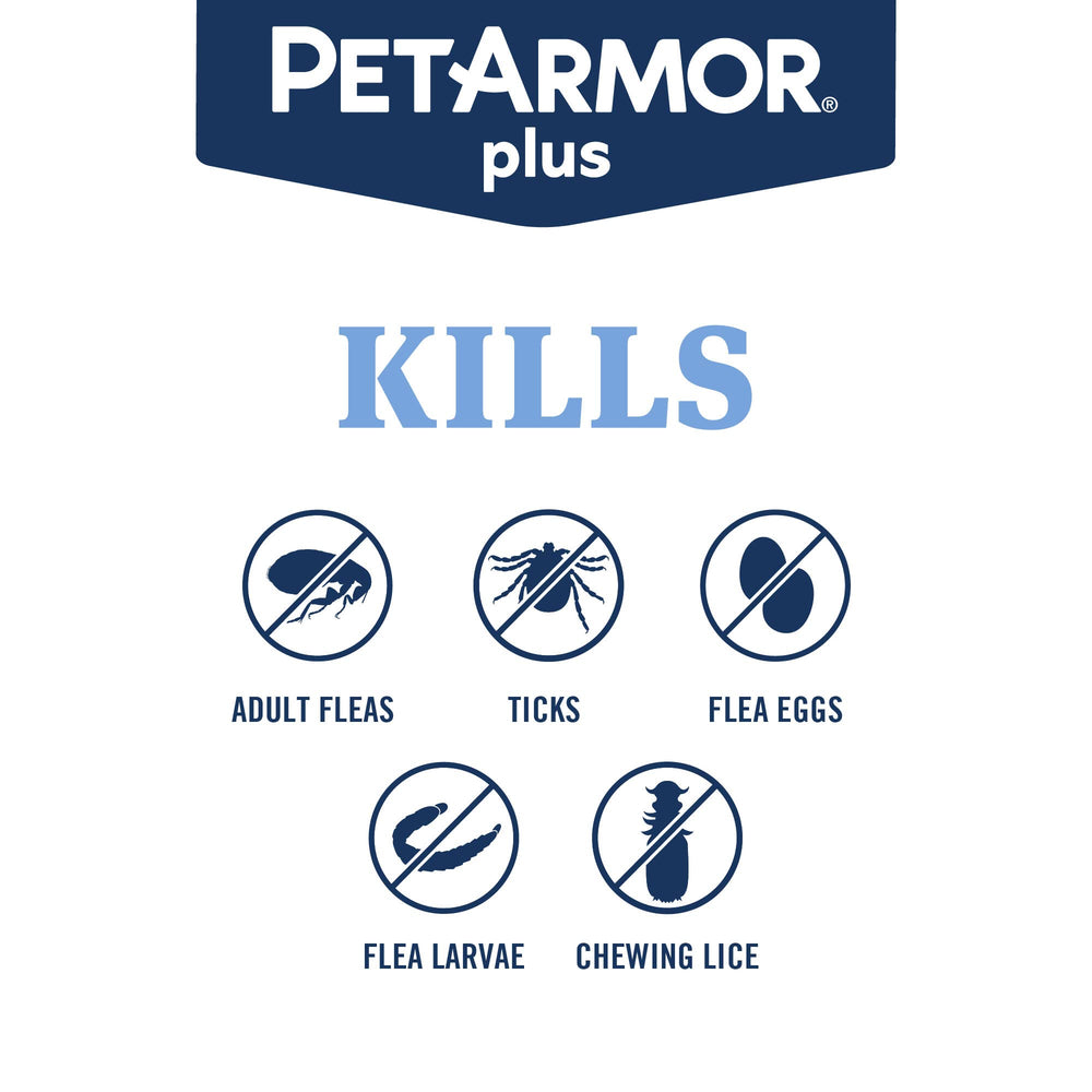 Effet rapide en 24h PetArmor Plus sur chien.