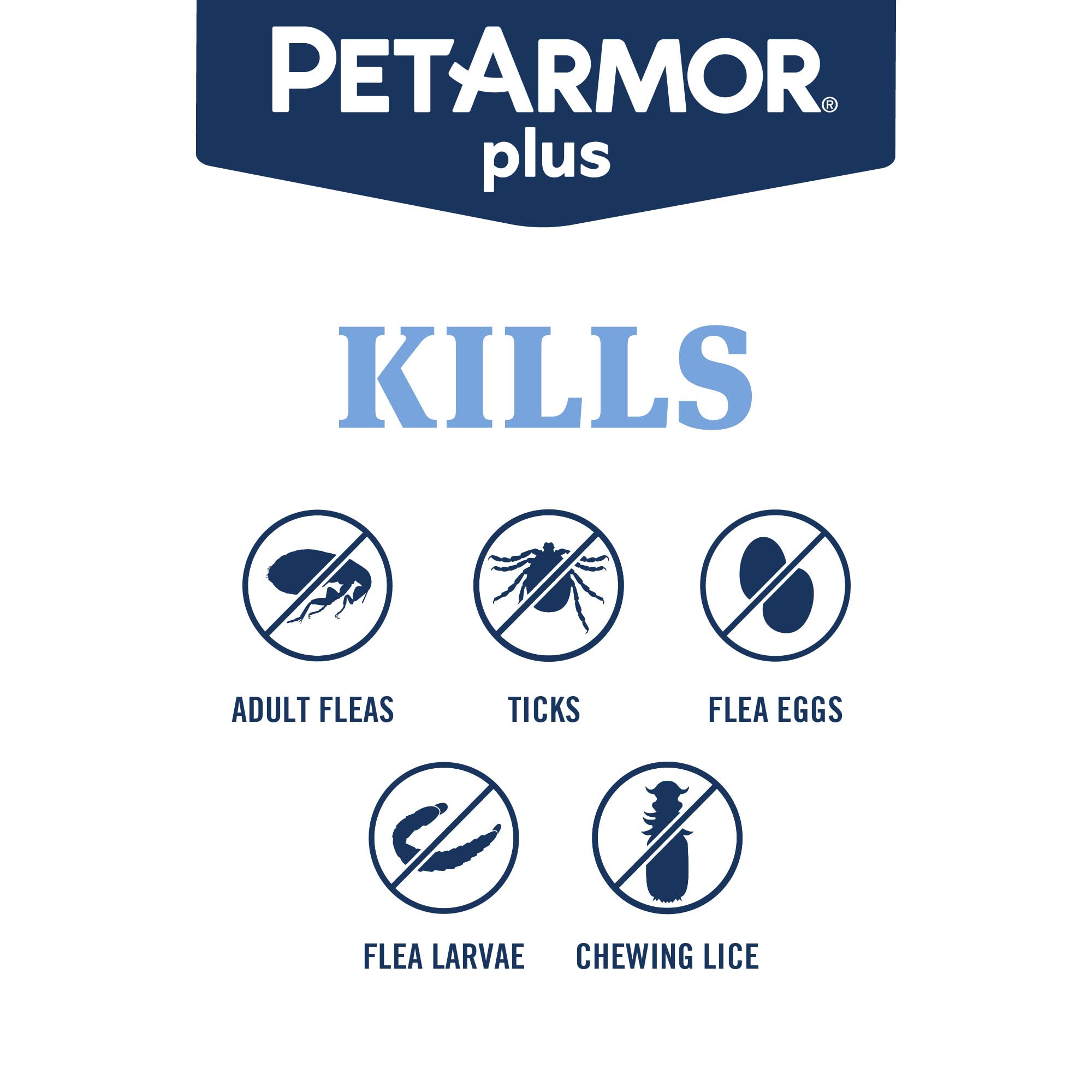 Perro activo al aire libre tras PetArmor Plus
