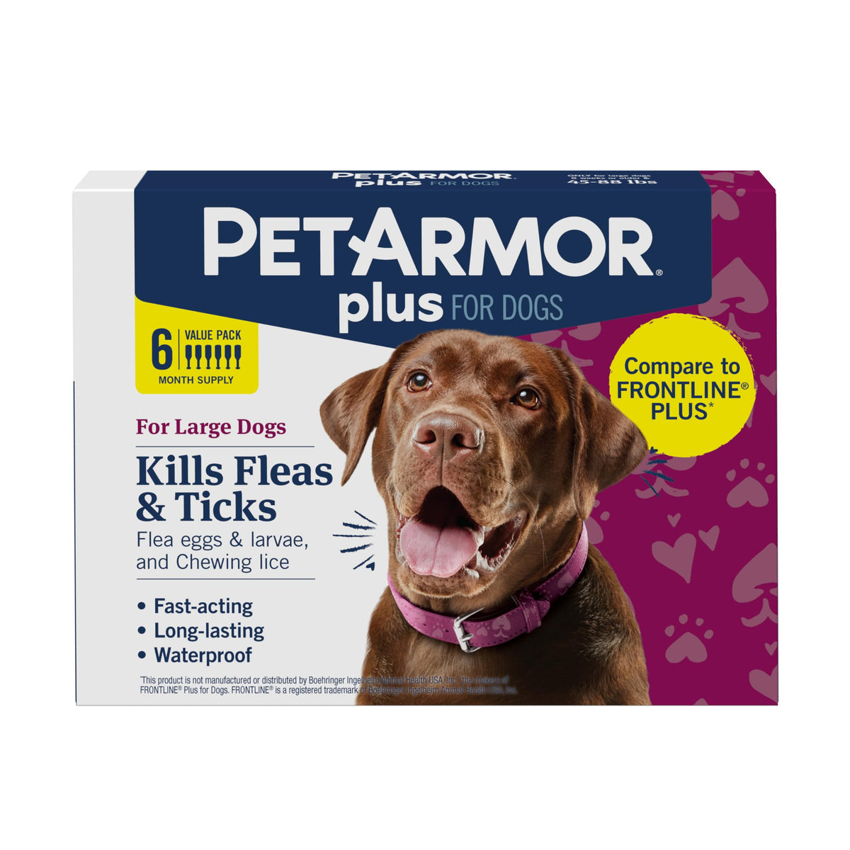 PetArmor Plus aplicado en el lomo de un perro durante la aplicación