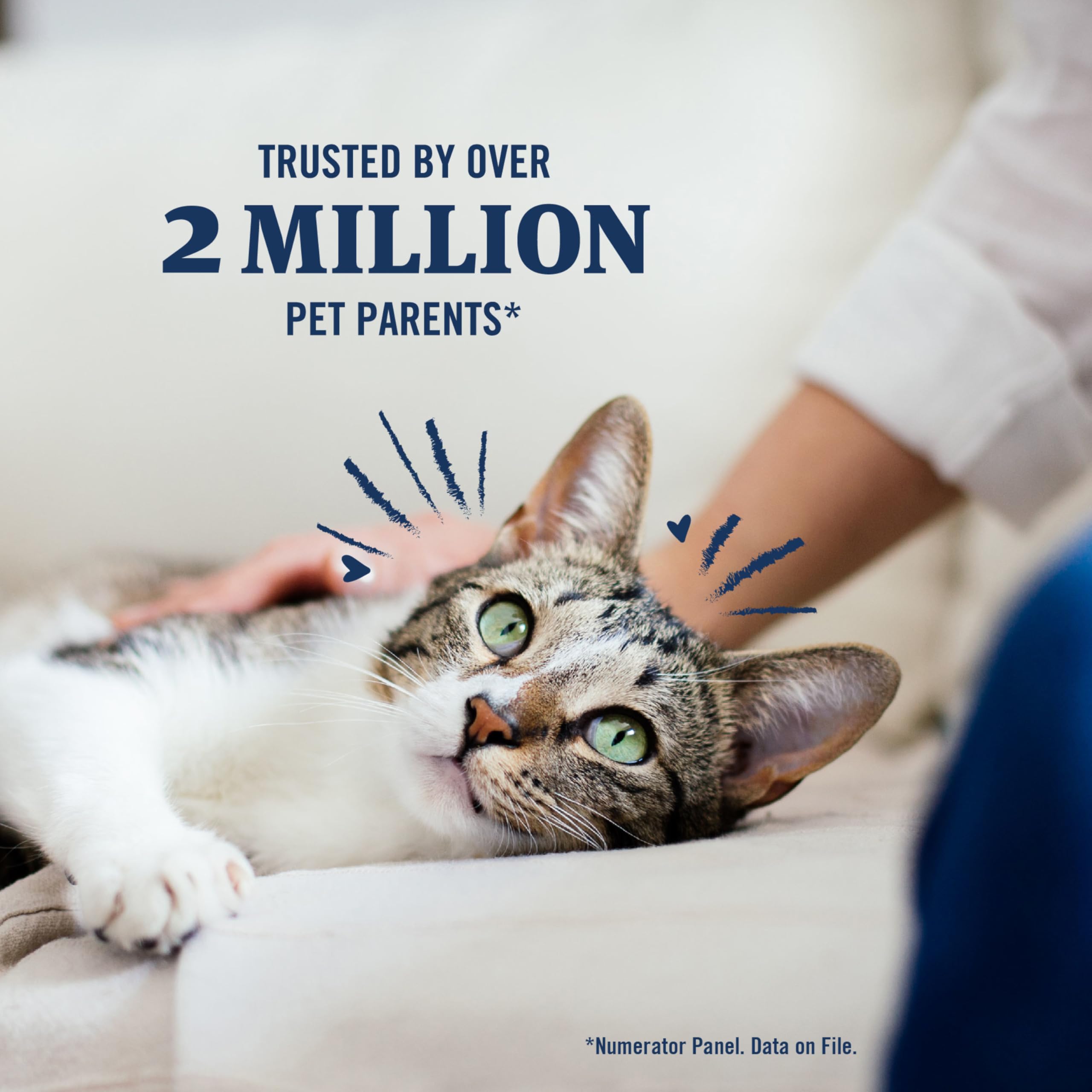 PetArmor Plus: protection mensuelle pour chats et usages simples.
