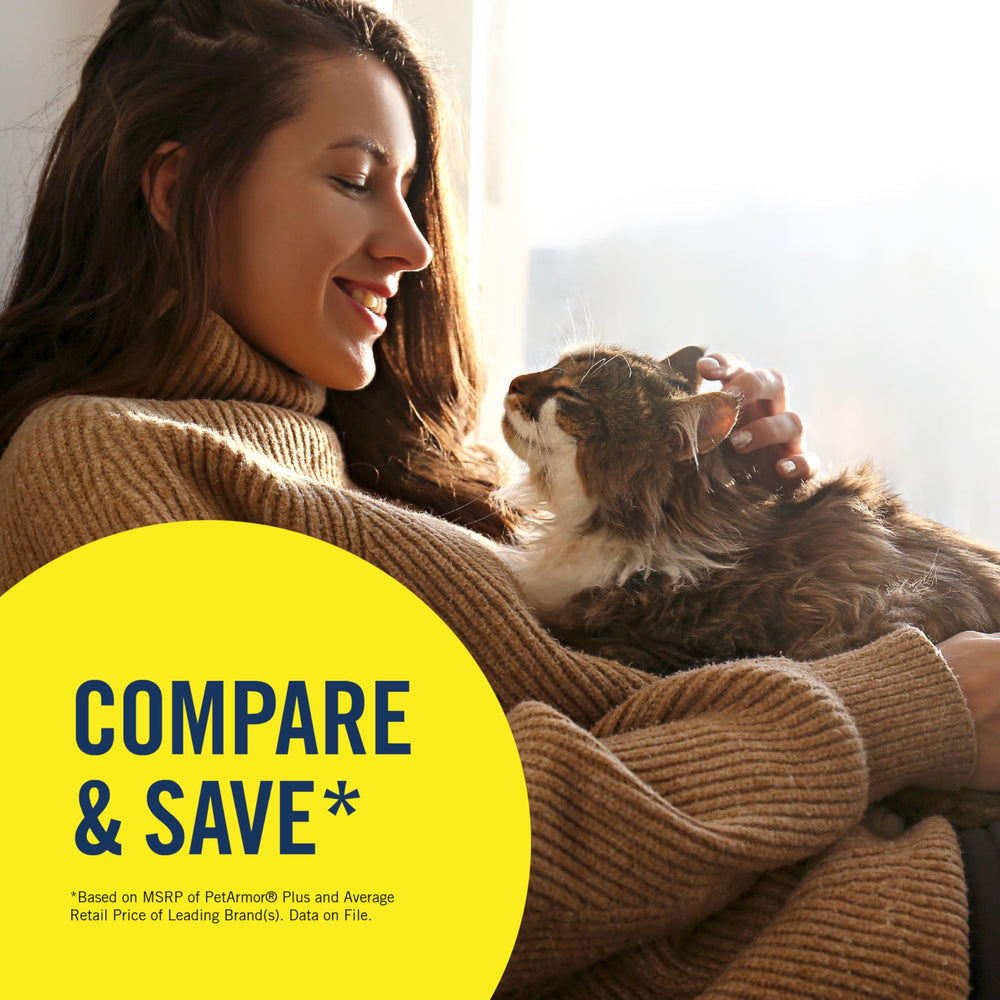 PetArmor Plus: protection puces et tiques chez le chat.