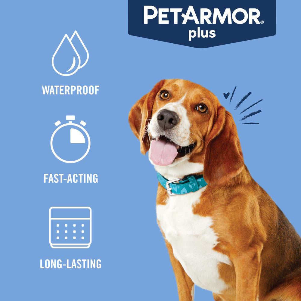 Resistente al agua para perros durante baño o lluvia.