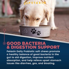 Petaxin Probiotics para perros, masticables, sabor pollo, apoyo digestivo suave.