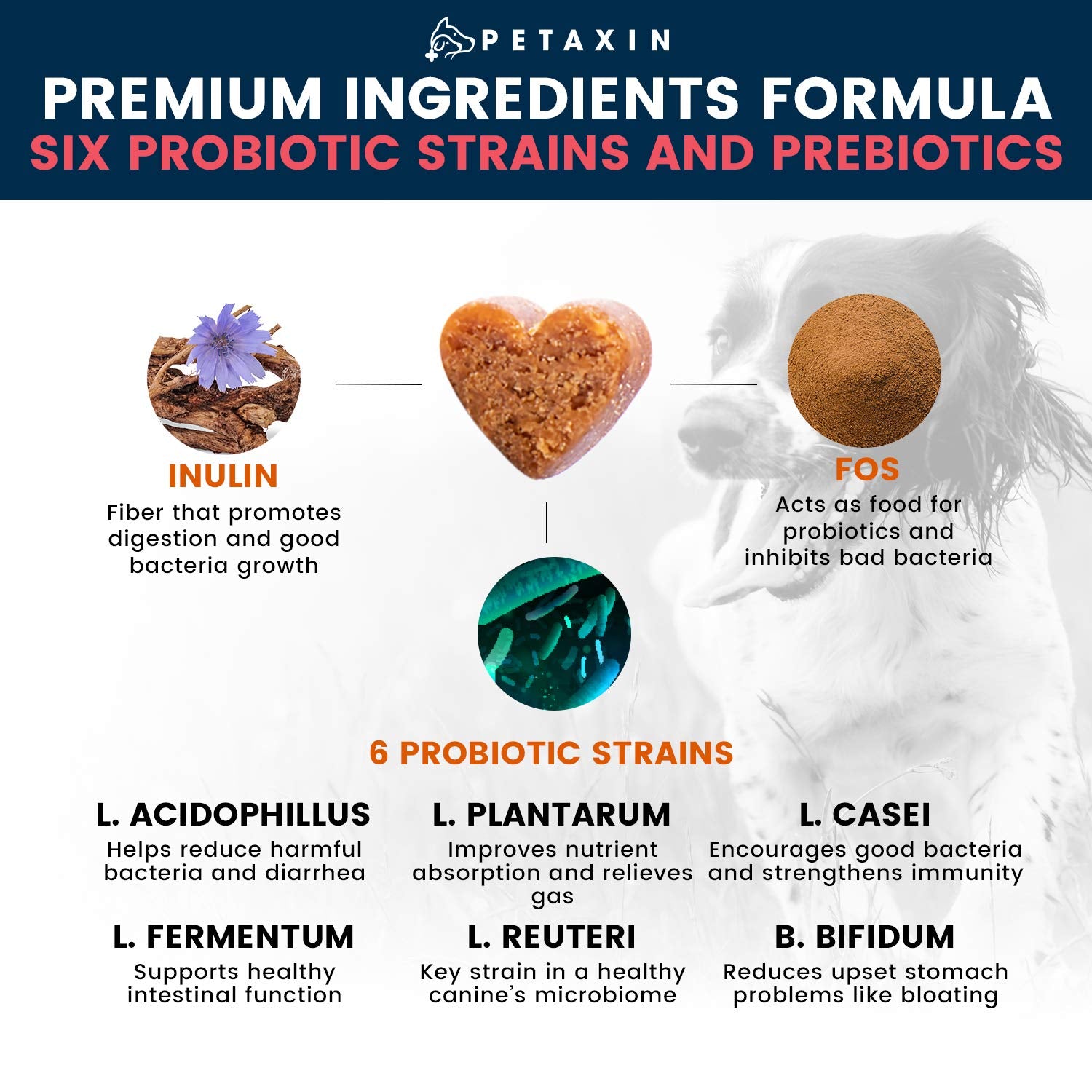 Petaxin Probiotics para perros, 6 cepas y prebióticos, soporte digestivo.