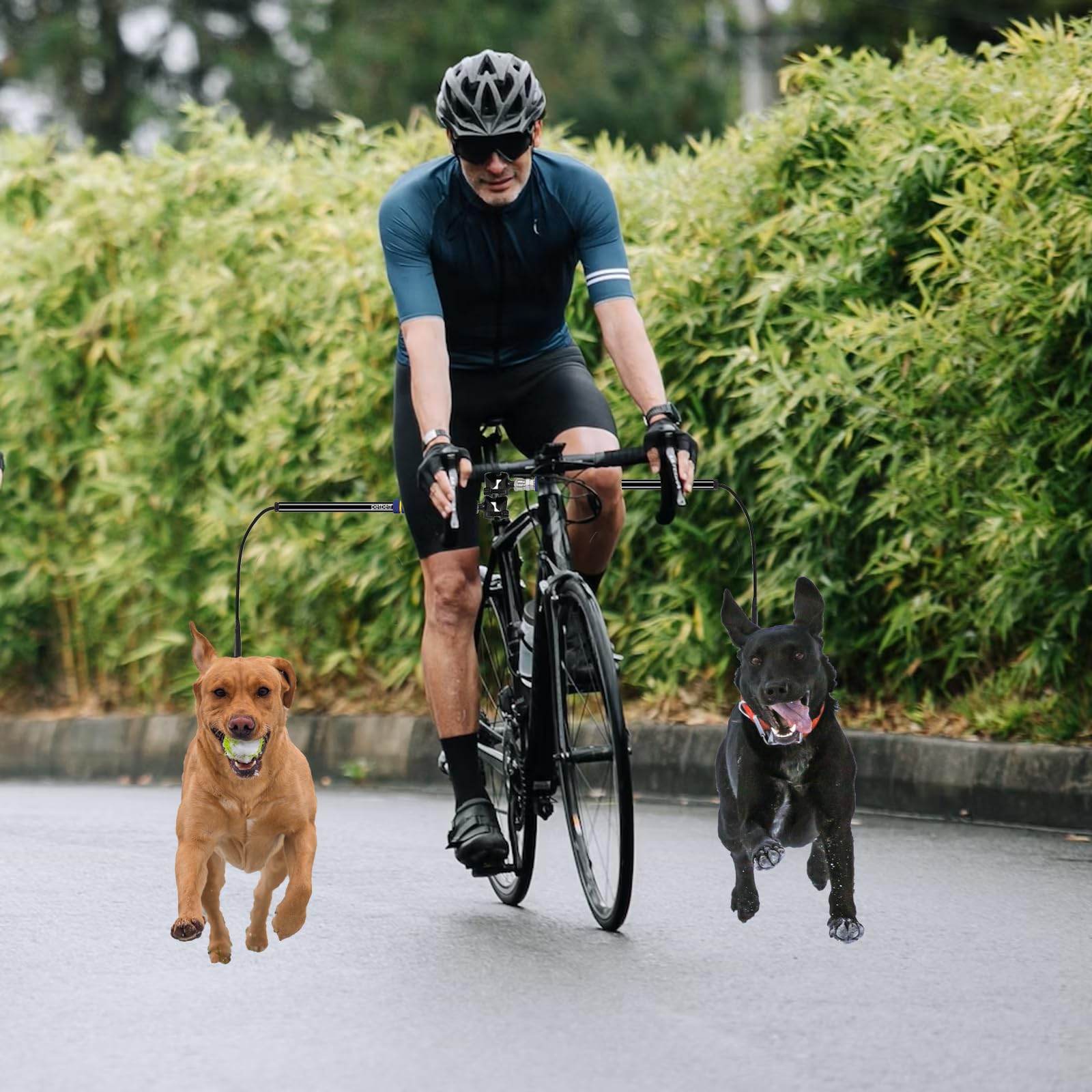 Petbetf correa para perro en bicicleta montada en la tija del sillín.
