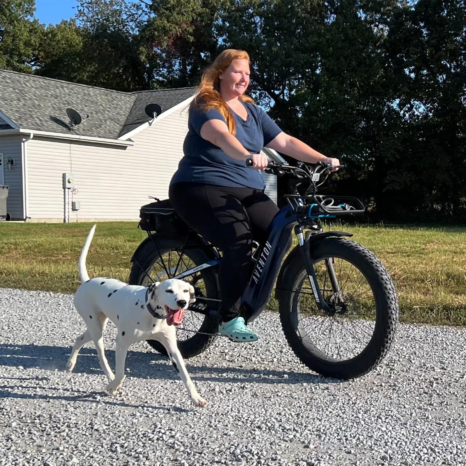 Petbetf correa para perro en bicicleta con garantía de dos años.