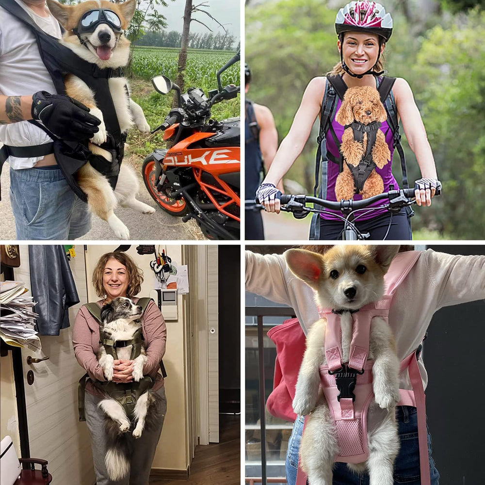 PetBonus aire-malla-ventilacion: mayor ventilación para ti y tu mascota.