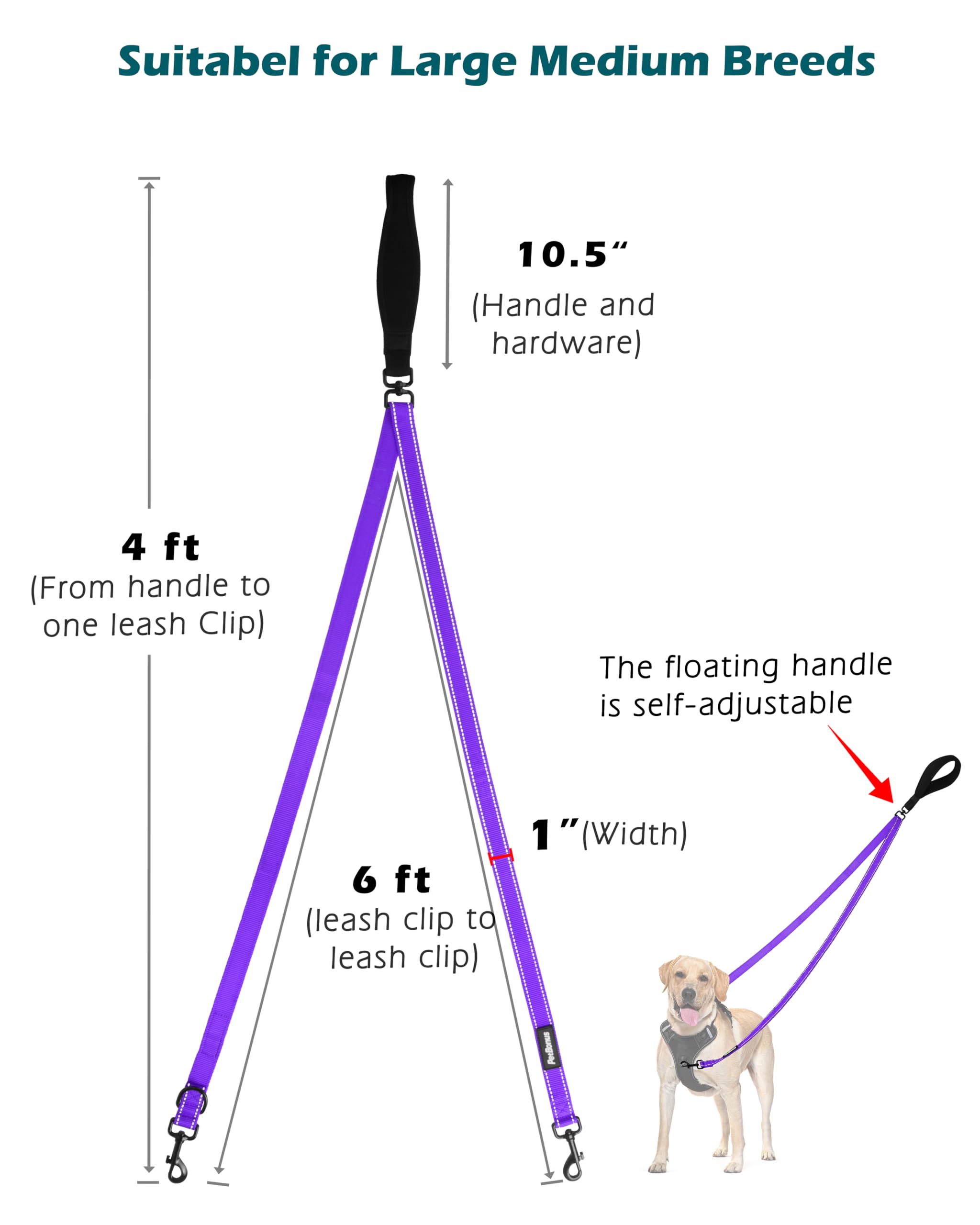PetBonus convertible a correa 4 ft, uso versátil en entrenamiento