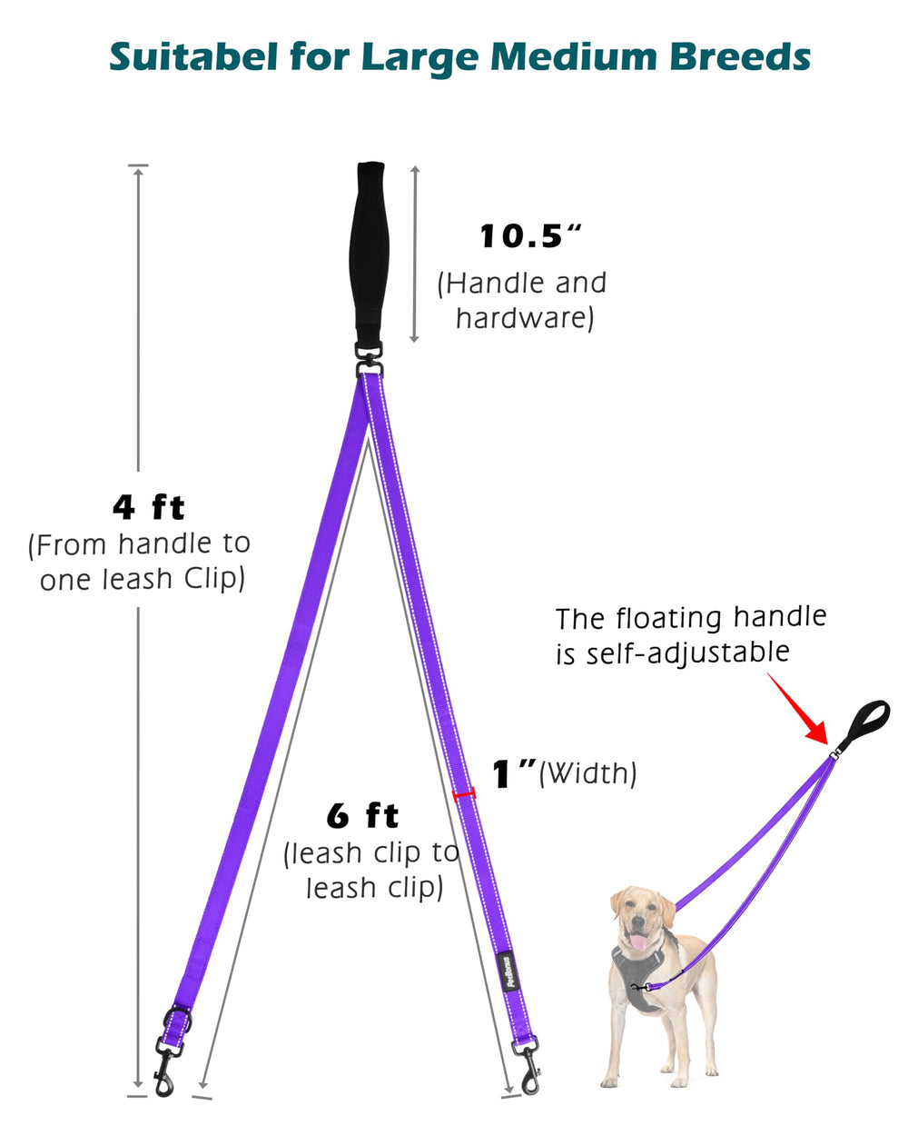 PetBonus convertible a correa 4 ft, uso versátil en entrenamiento