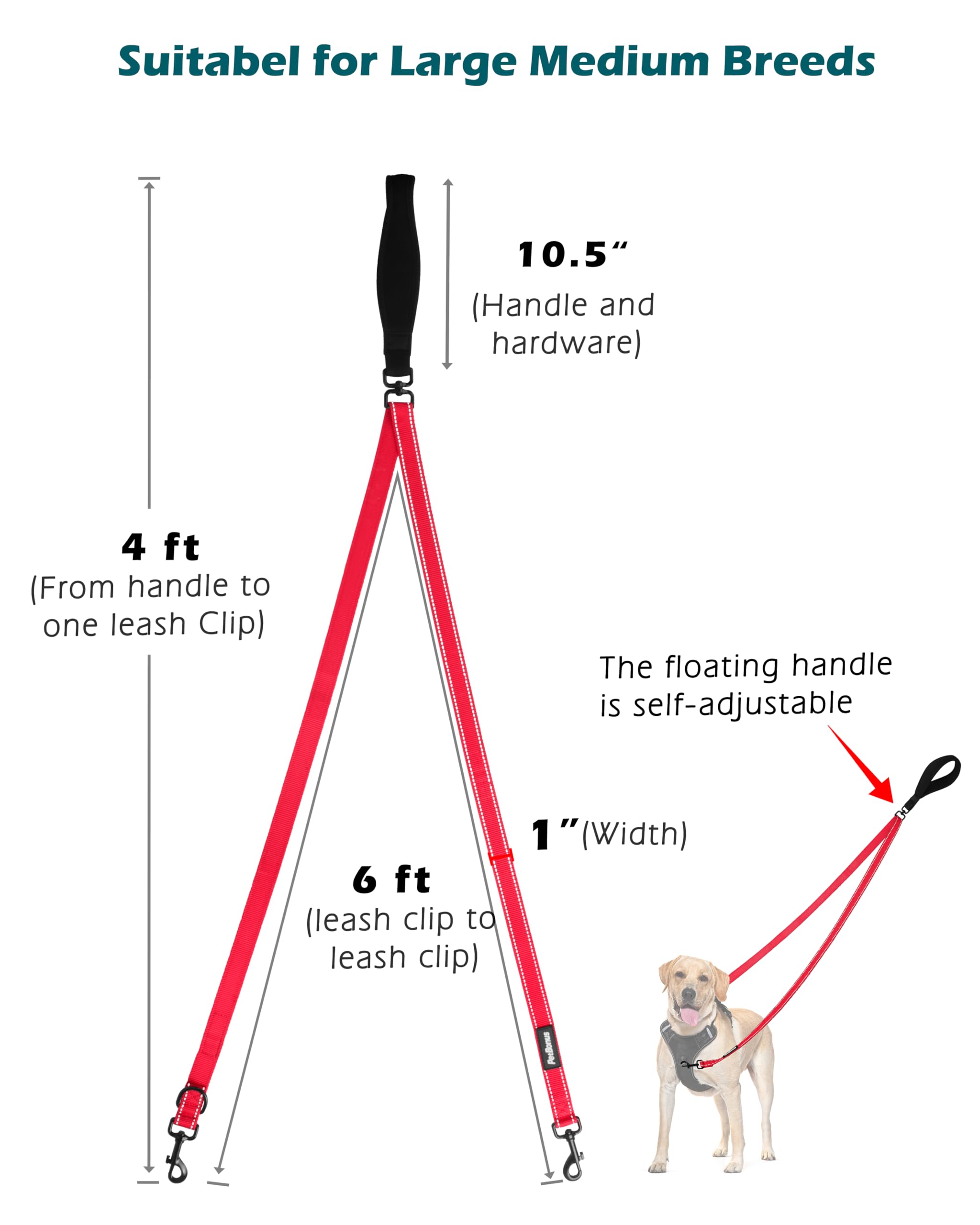 PetBonus correa convertible a 4 ft, uso como correa simple.