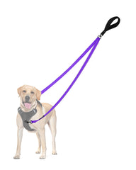 PetBonus correa perro doble punto control frente para mayor control durante caminata