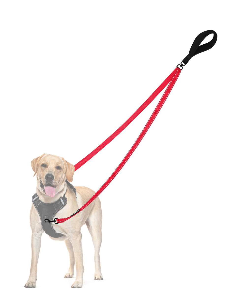 PetBonus correa para perro con dos puntos de control, mejora dirección durante paseos.