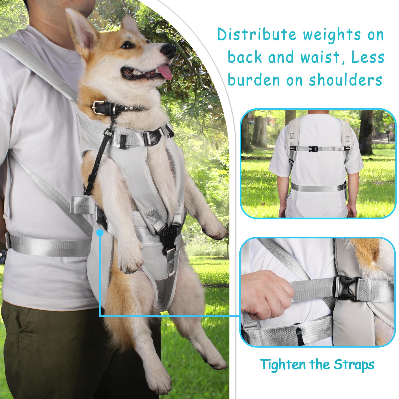 PetBonus correas-seguridad-ajustables: seguridad adicional durante el paseo.