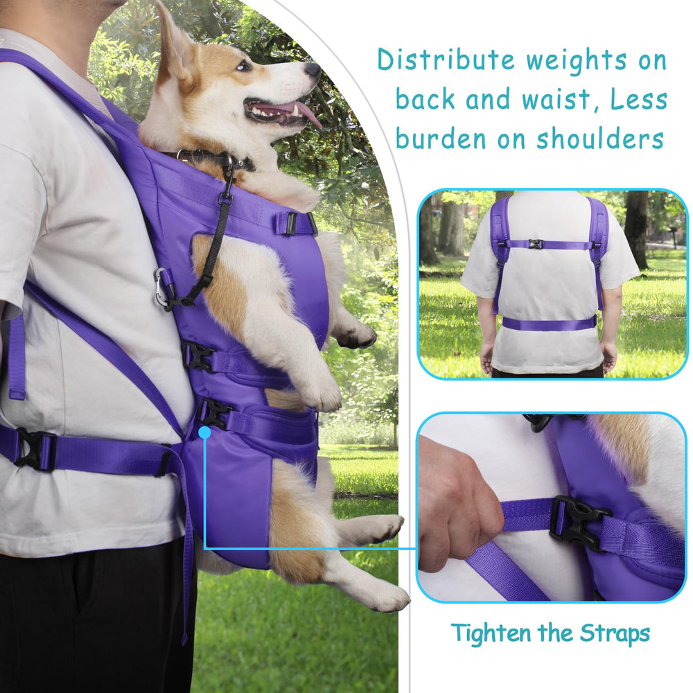 PetBonus diseño de dos formas de uso, frente o espalda para paseos.