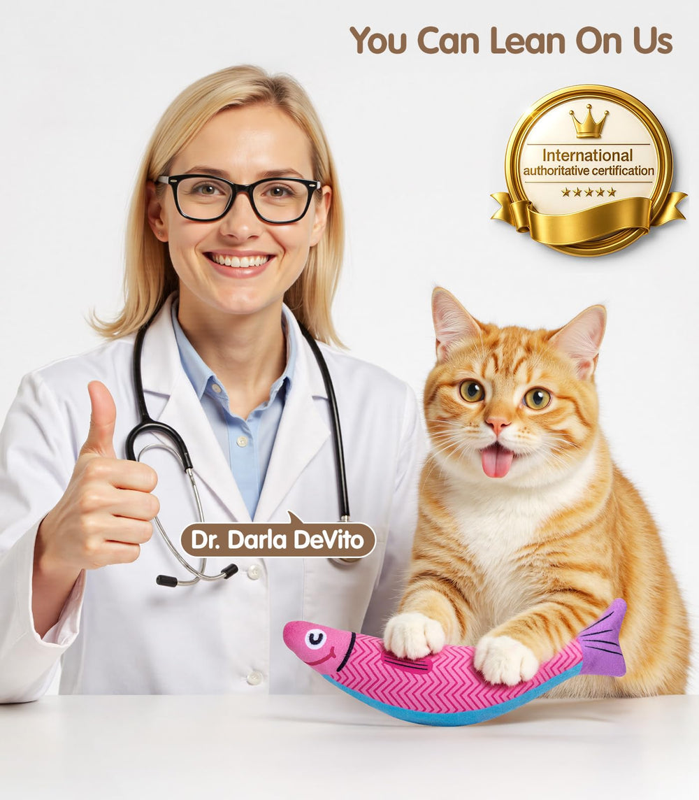 PetBusy ideal para gatitos y gatos adultos que cazan.