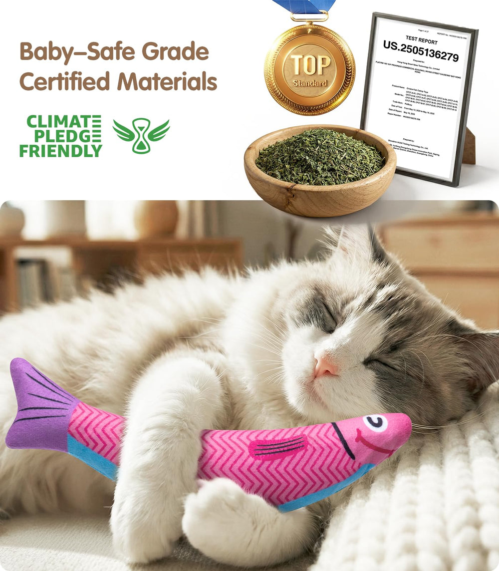 PetBusy regalo ideal para amantes de gatos y familias.