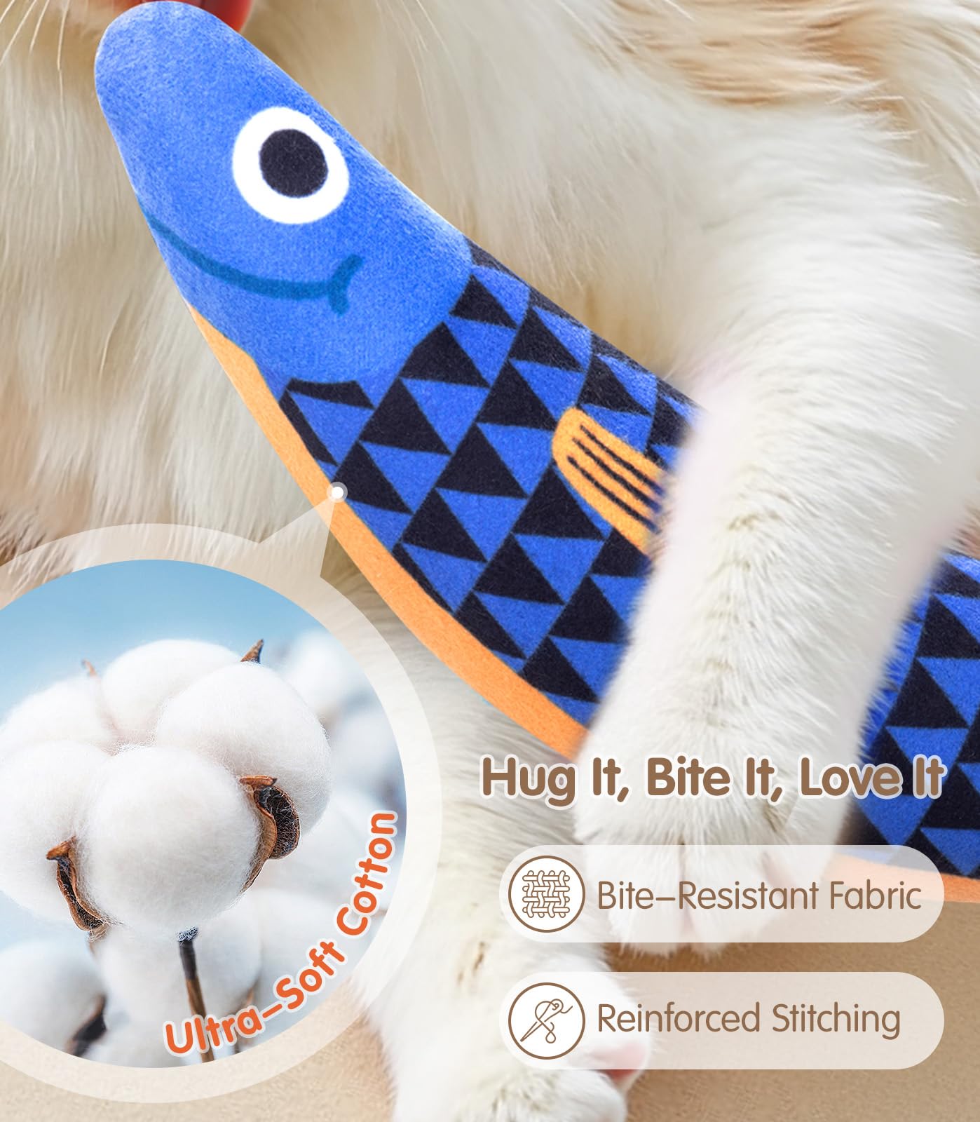 PetBusy regalo perfecto para gatos, ideal para fiestas y cumpleaños.