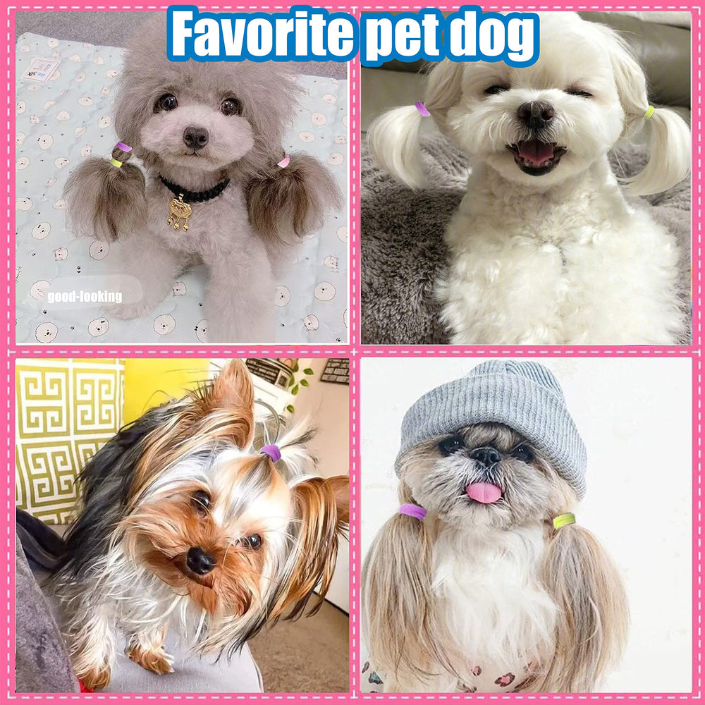 Petbuy accesorios de pelo para mascotas, perfecto para salones