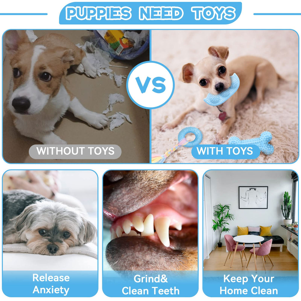Petcare bola mordedora 360, fomenta juego interactivo y limpieza dental.