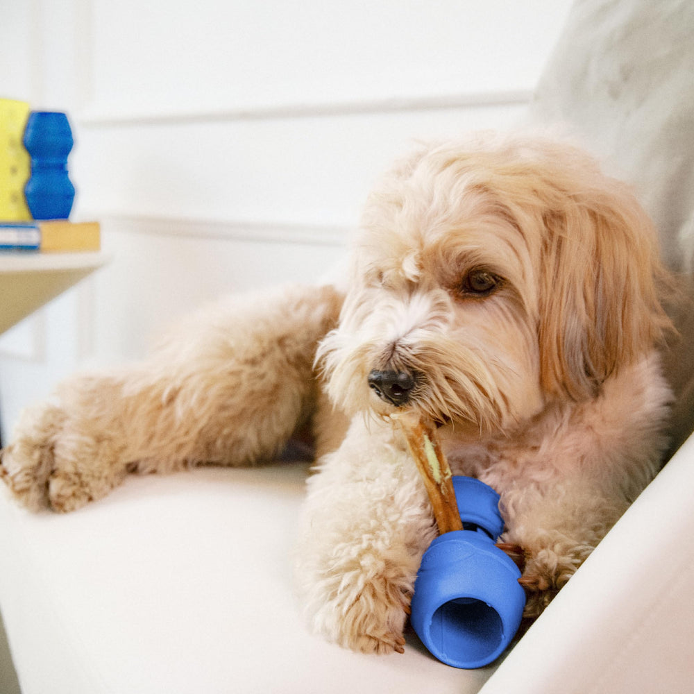 PetClan Chewise diseño compacto facilita almacenamiento durante viajes y salidas