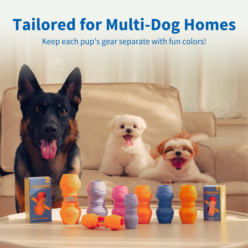 Chewise Holder de PetClan promueve estimulación mental y juego interactivo durante la merienda.