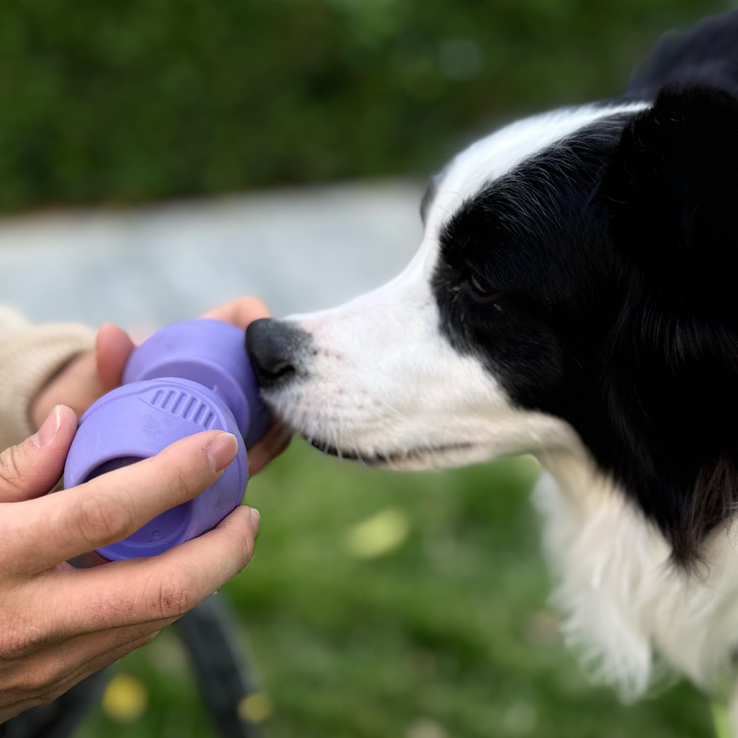Porta palitos Chewise de PetClan: adecuado para perros de distintos tamaños.