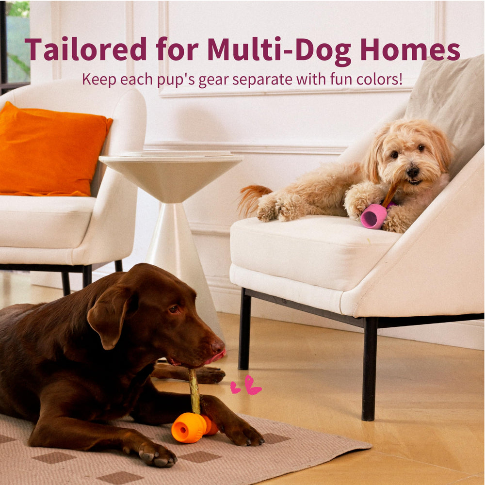 PetClan Chewise recomendado por entrenadores para masticación segura.