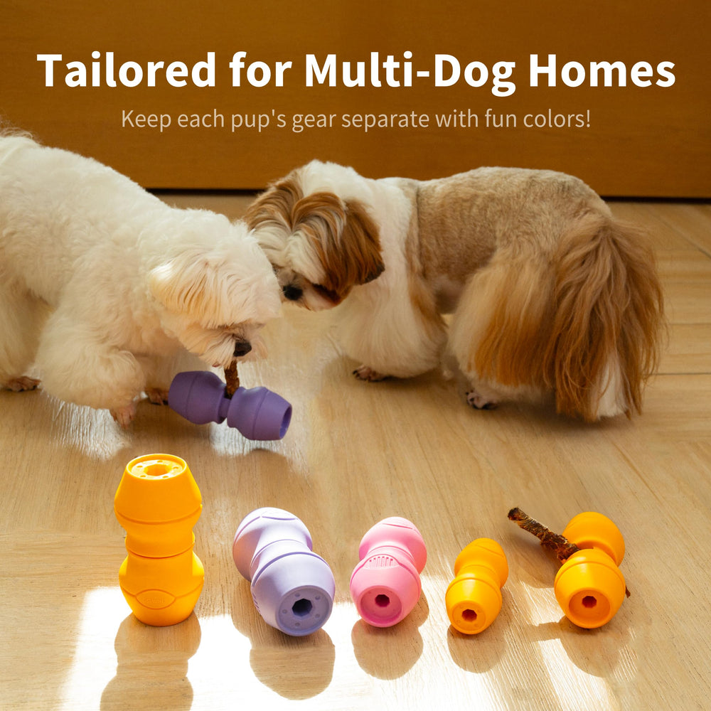 PetClan Chewise, diseño robusto y seguro para mascotas activas.