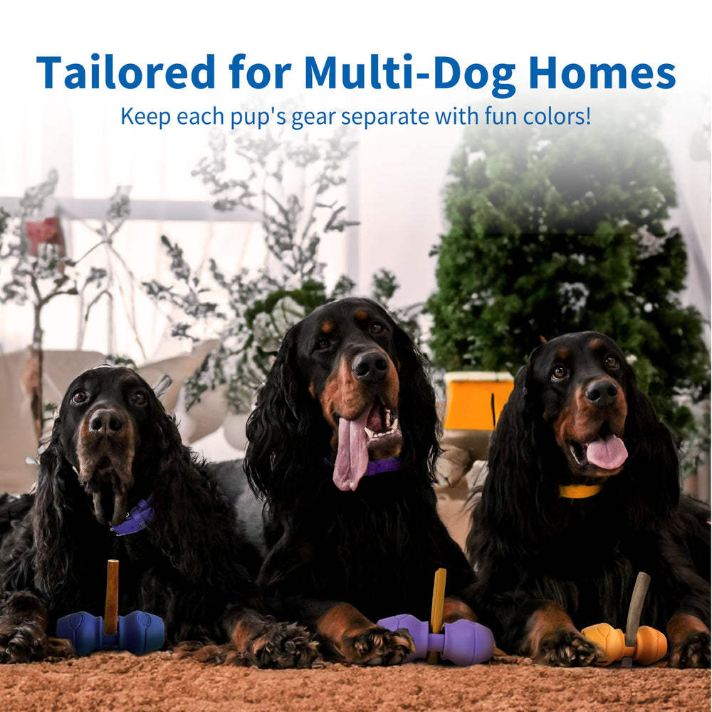 PetClan Chewise materiales duraderos resisten uso prolongado en sesiones de juego