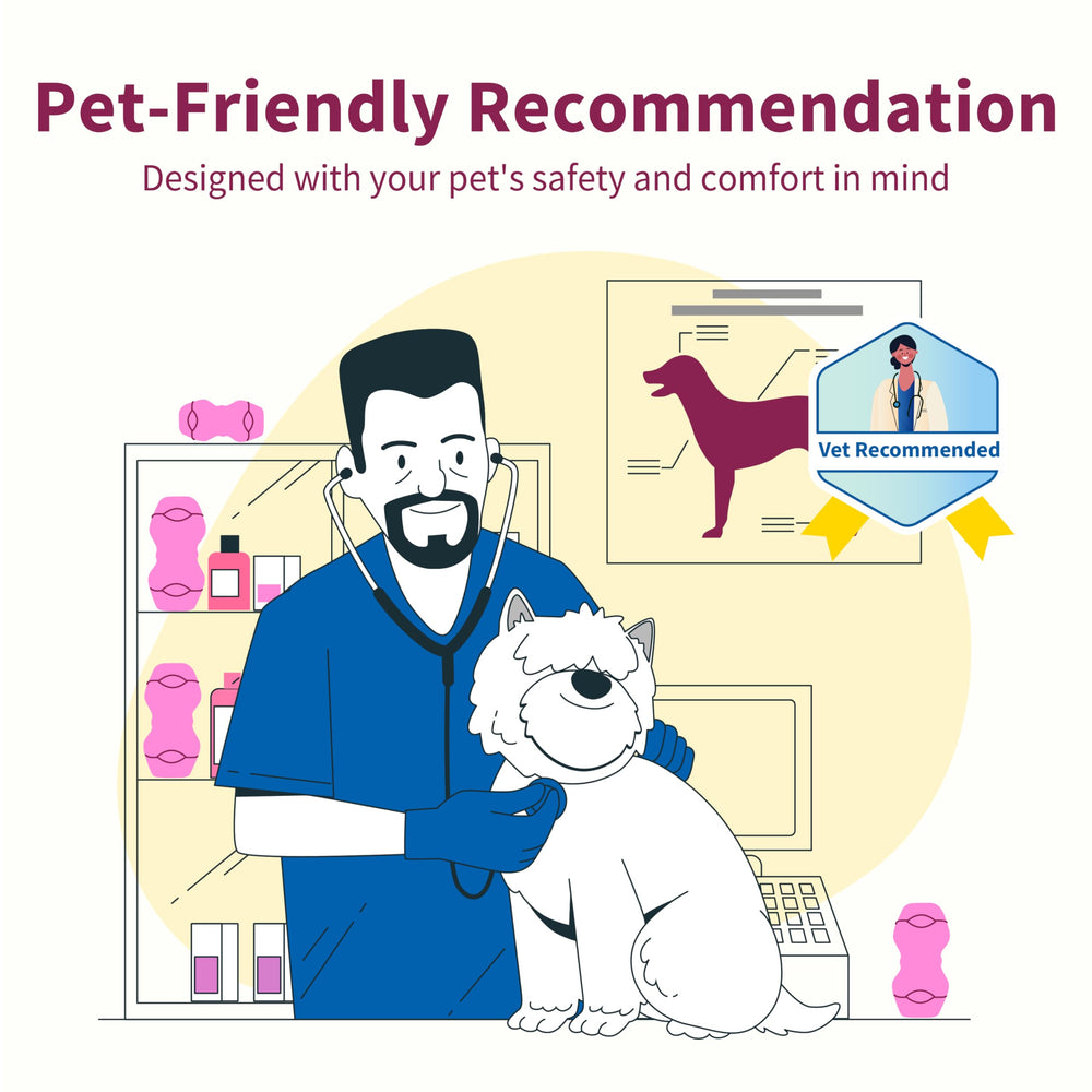 PetClan Chewise uso diario para perros de distintos tamaños.