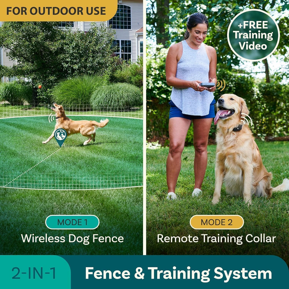 PetCove: collar de entrenamiento con modo remoto para corregir conductas.