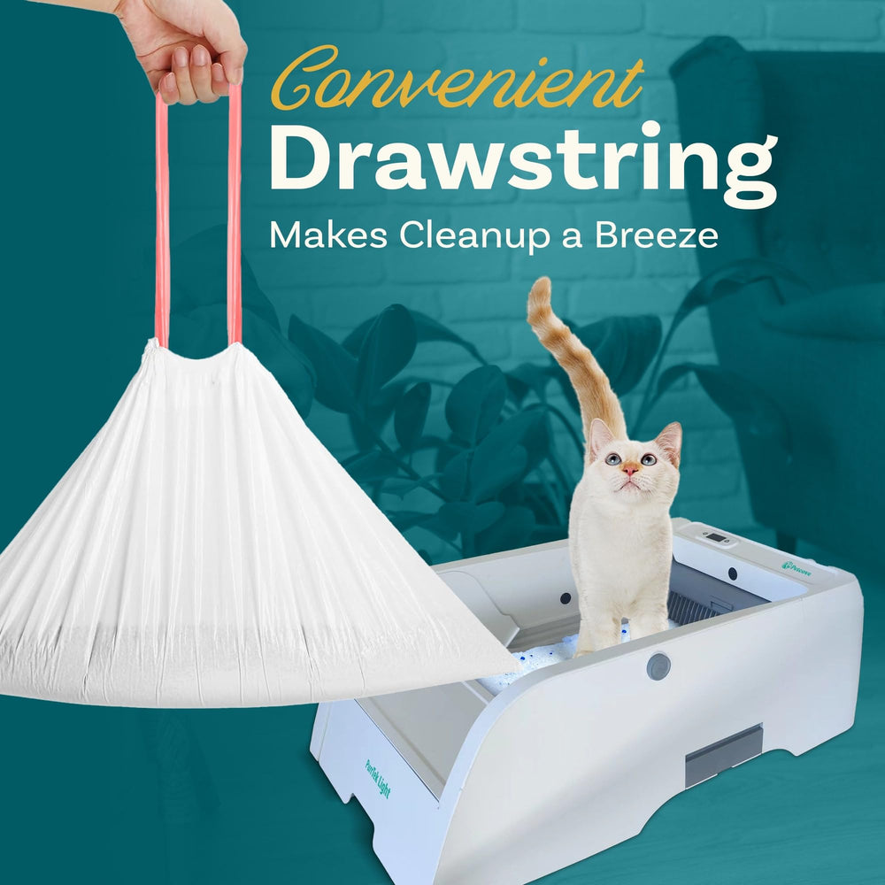 Fundas resistentes de PetCove listas para casas con varios gatos.