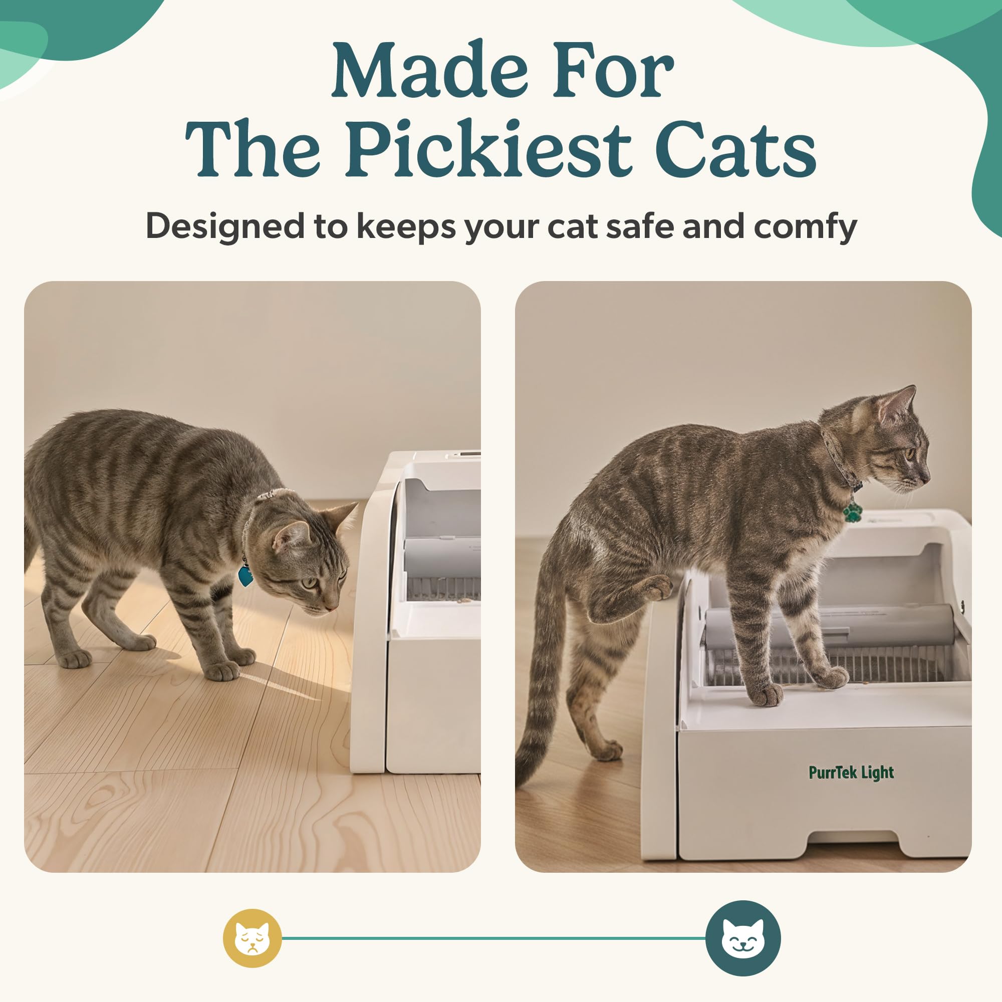 Petcove: calidad fiable y soporte dedicado para cajas automáticas de arena para gatos.
