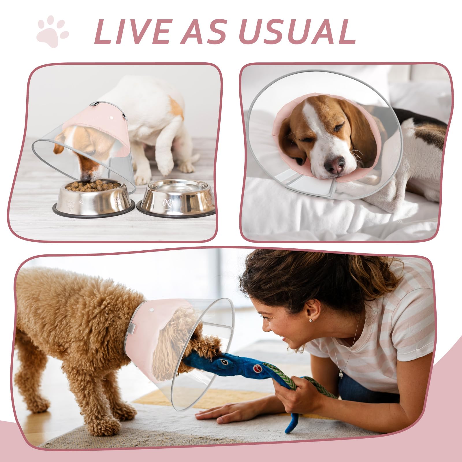 Petdream cono perro ajuste collar compatibilidad con collares para mayor seguridad