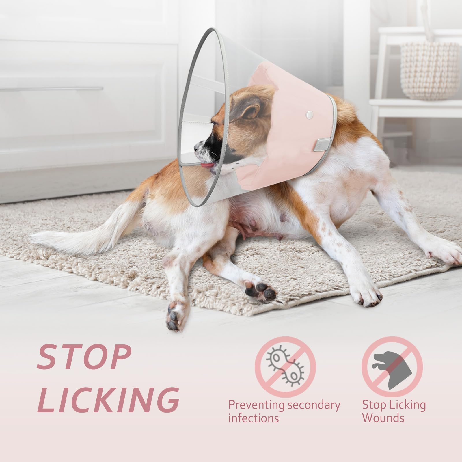 Petdream cono perro forro suave detalle protege cuello y comodidad diaria