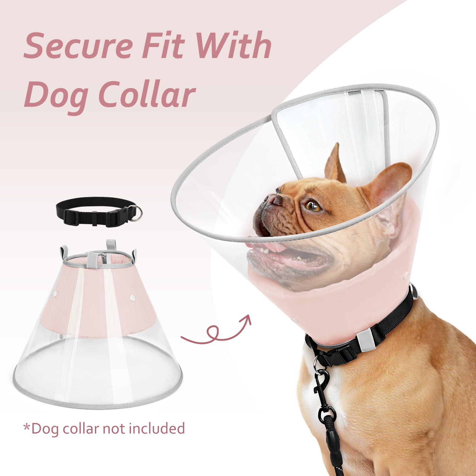 Petdream cono perro tallas disponibles ajuste cómodo para cada mascota