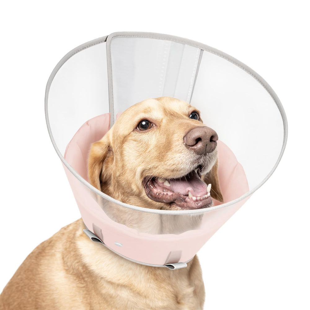 Petdream collar cono transparente frente para moverse con seguridad y facilidad